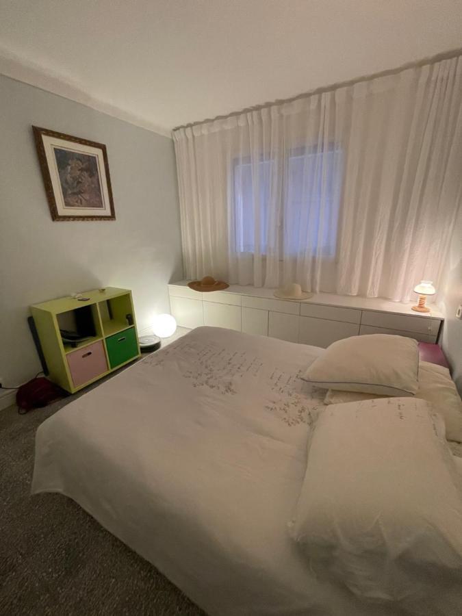 Apartment Domus *